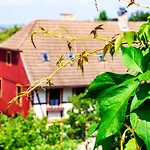 Hotel Schlossberg Hotel Wernigerode 3*