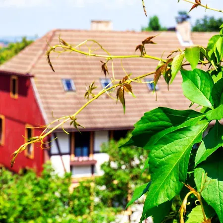 Hotel Schlossberg-hotel Garni 3*