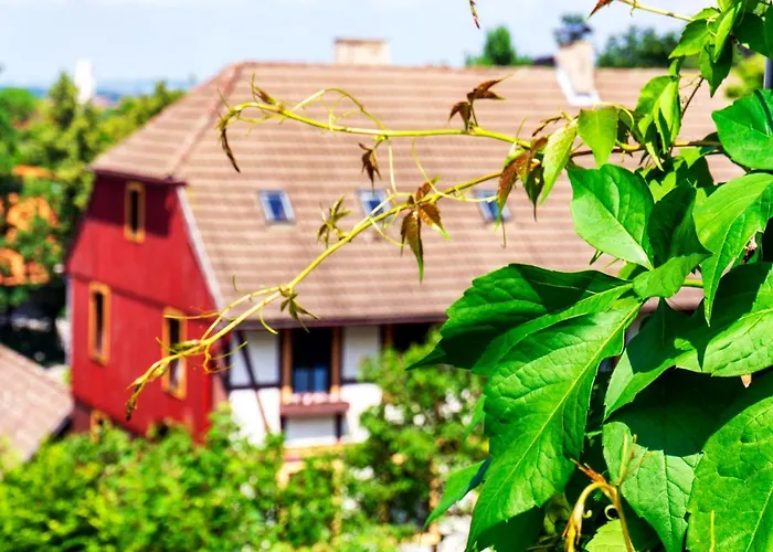 Szálloda Schlossberg Hotel Wernigerode 3*